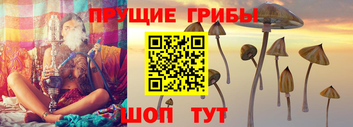 Галлюциногенные грибы MAGIC MUSHROOMS Первоуральск